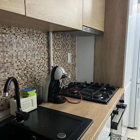 Beatrice Centru Vechi Apartment Craiova